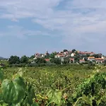 Jokovic * Лумбарда