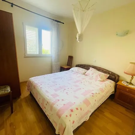 Jokovic Ostanak kod kuće *