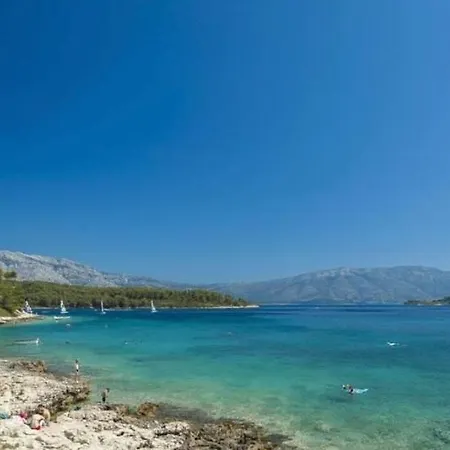 Jokovic Ostanak kod kuće