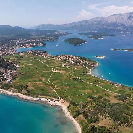 Jokovic Ostanak kod kuće *