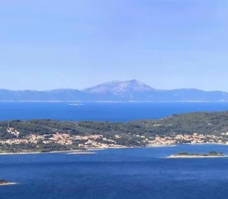 Jokovic Ostanak kod kuće *