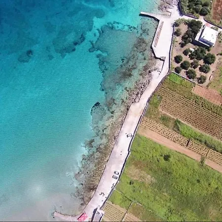 Jokovic Ostanak kod kuće *