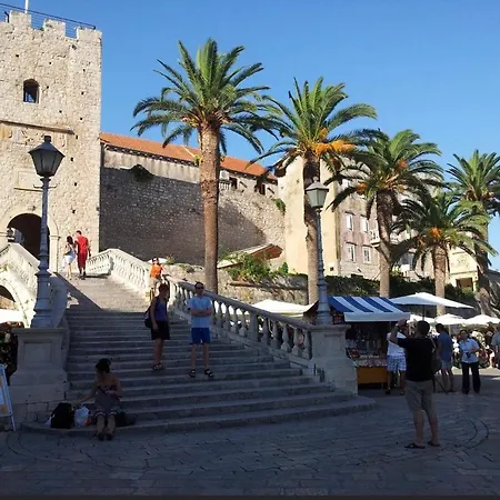 Jokovic Ostanak kod kuće *